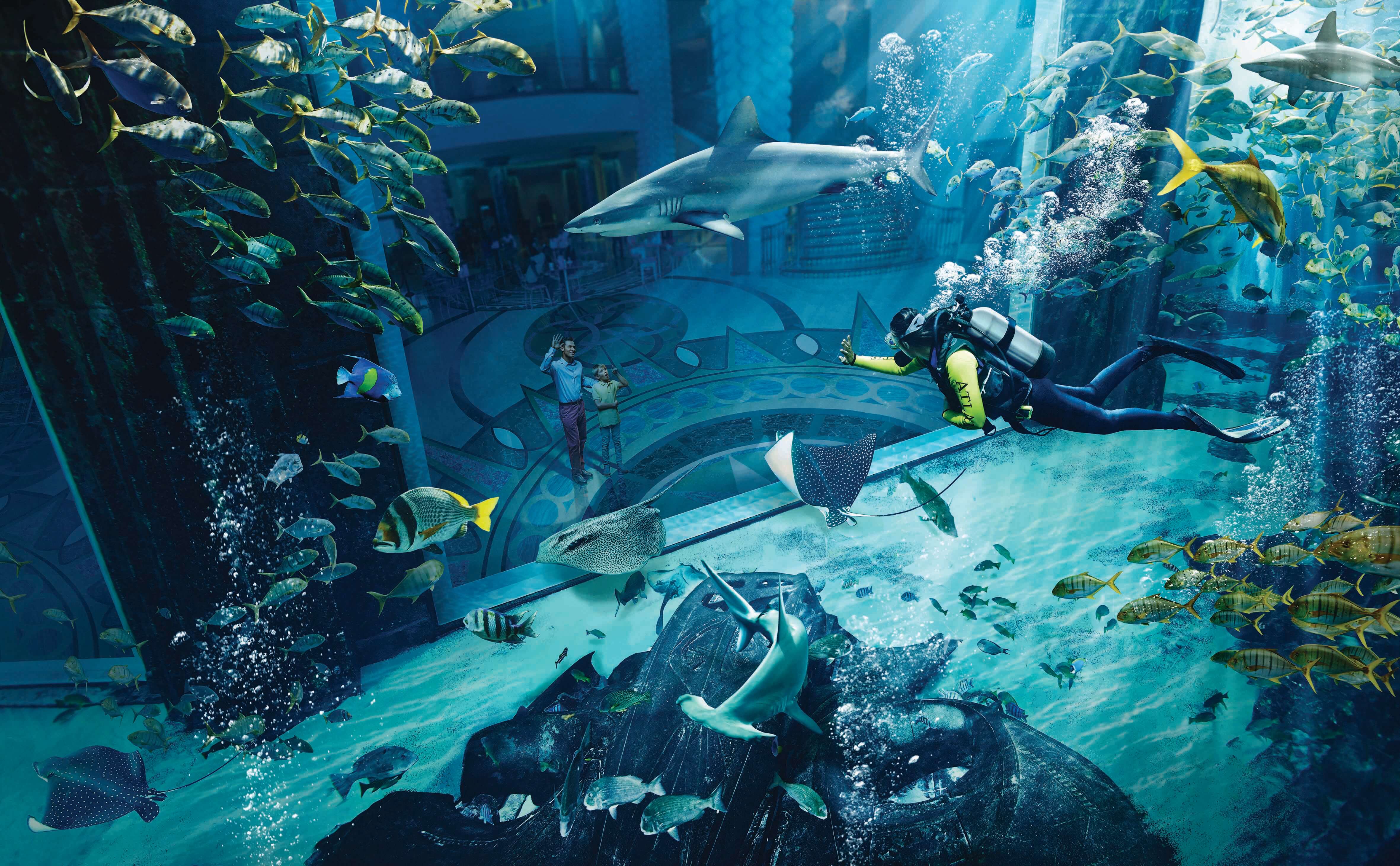 Atlantis_aquarium_gp.jpg